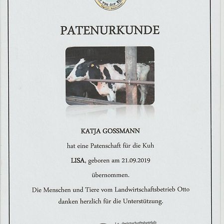 Altes Waschhaus Krakvitz Διαμέρισμα Putbus Εξωτερικό φωτογραφία