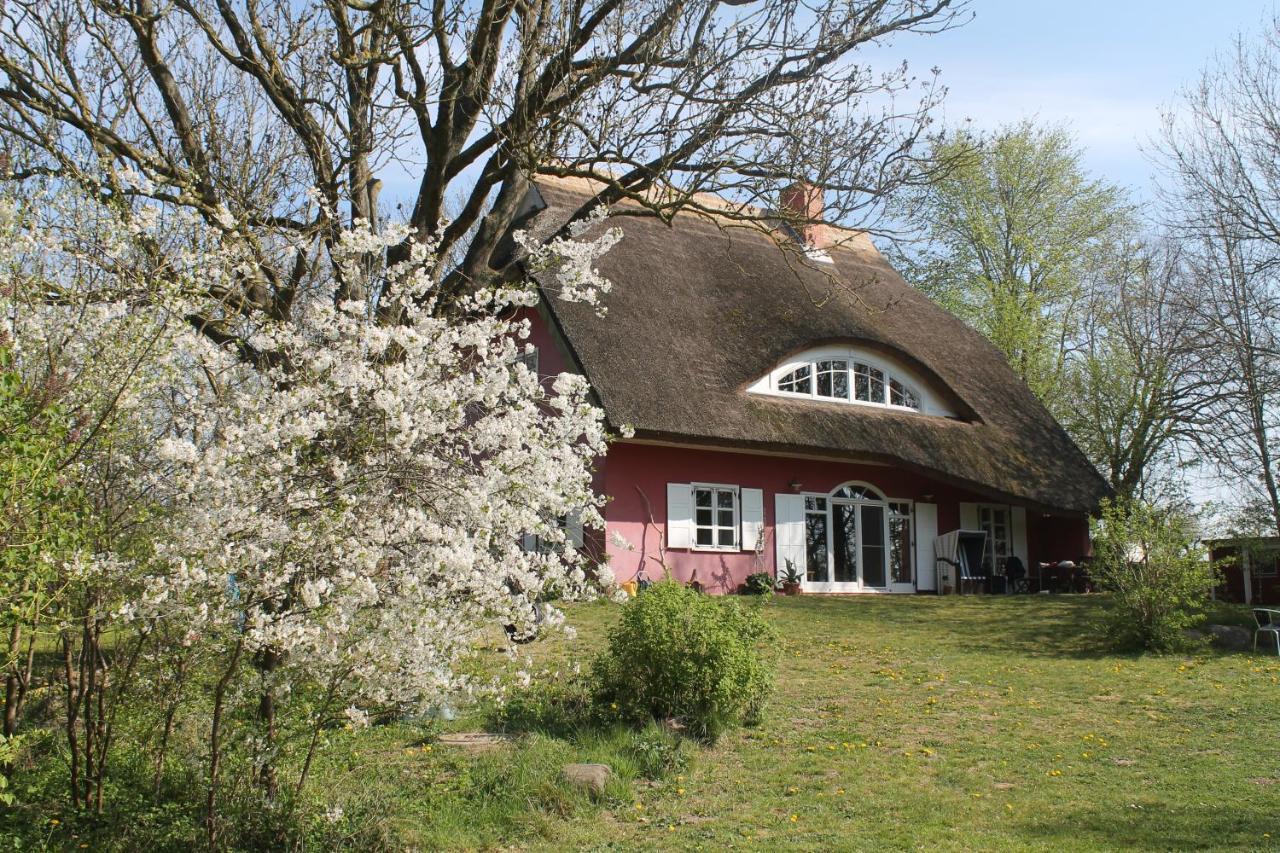 Altes Waschhaus Krakvitz Διαμέρισμα Putbus Εξωτερικό φωτογραφία